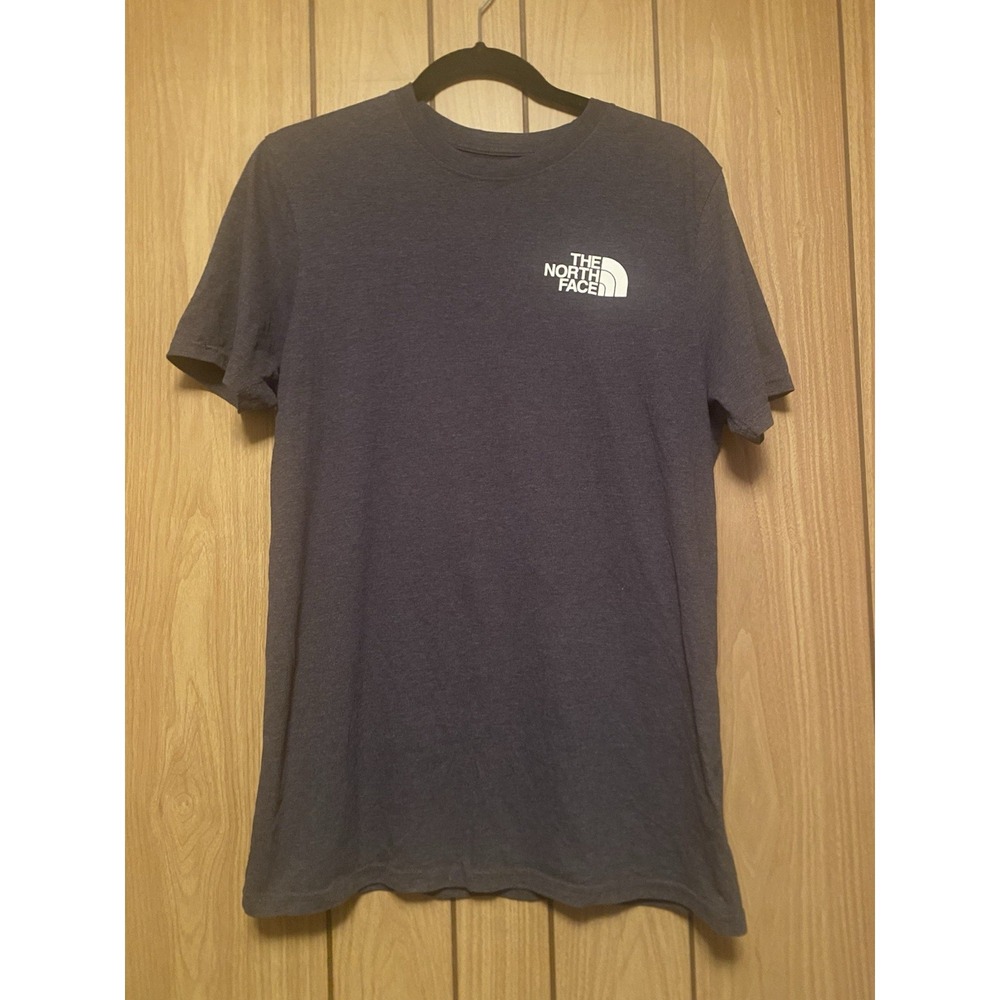 The North Face Graphic Logo TShirt Men's S Gray Since 1966 Fine Alpine Equipment